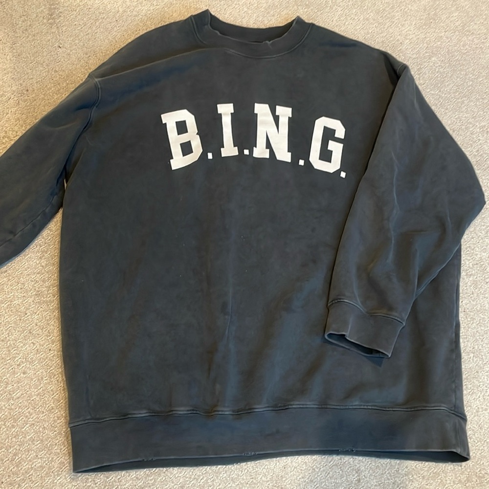 Anine Bing Tyler sweatshirt